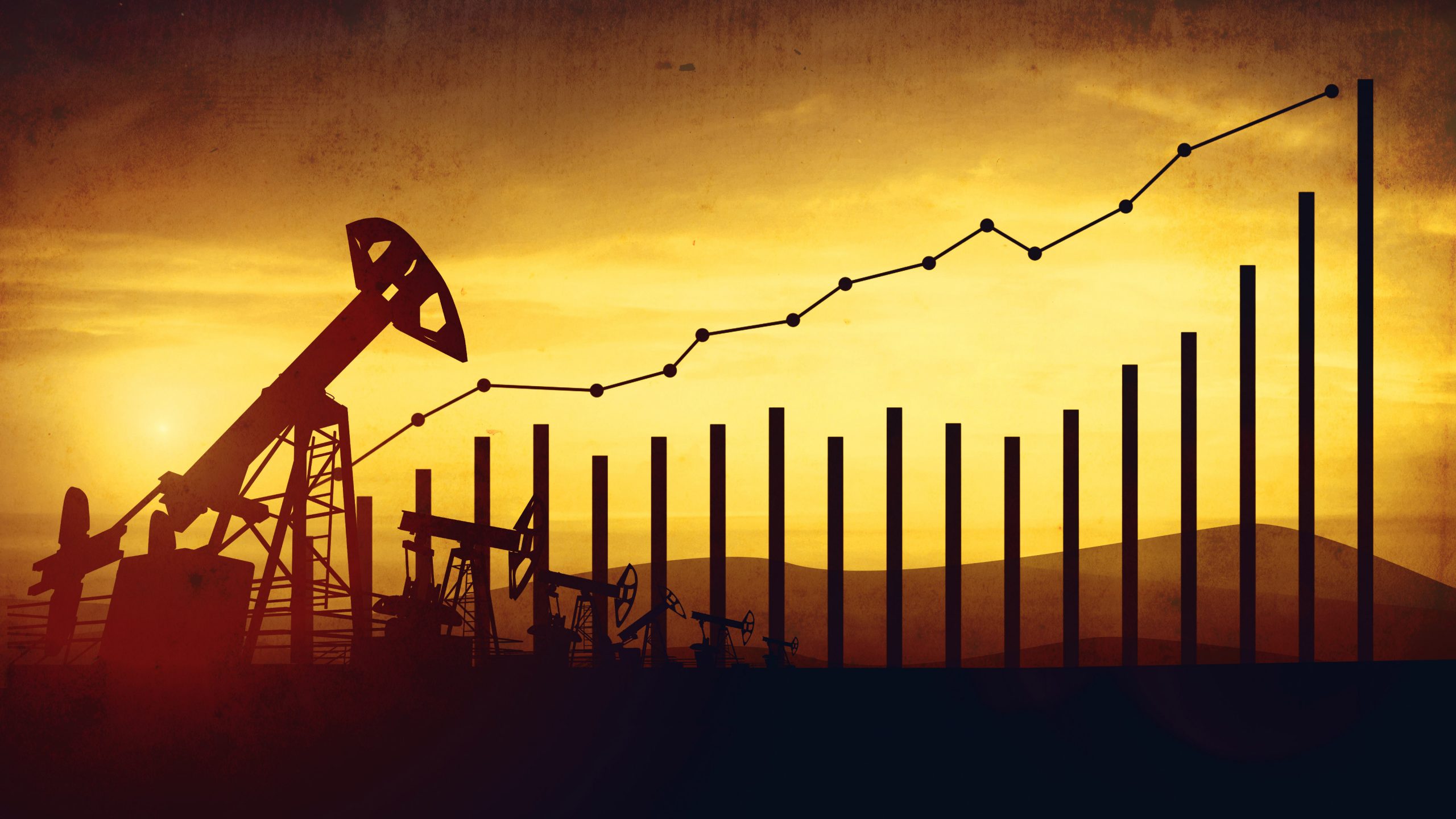 Separating the Signal from the Noise in the Oil Markets